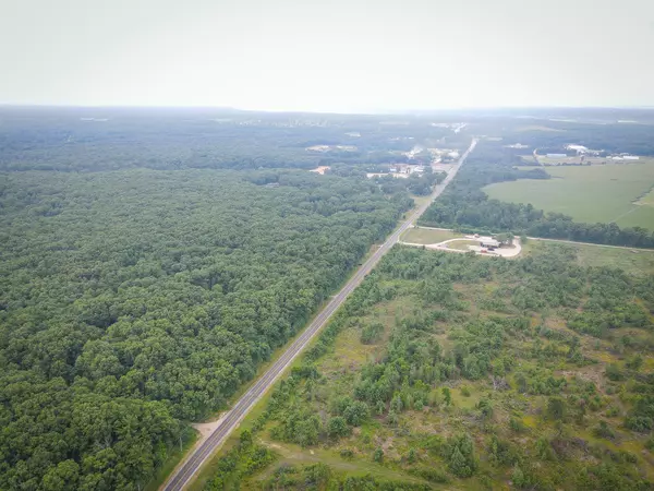 Whitehall, MI 49461,V/L W Holton Whitehall Road