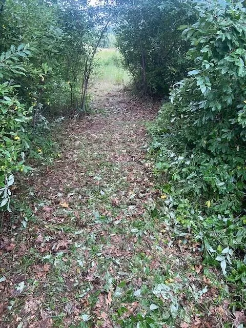 Grass Lake, MI 49240,0 Phal Road