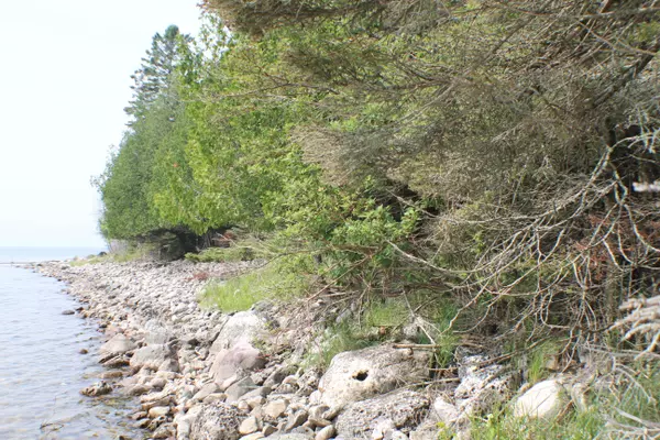 Drummond Island, MI 49726,TBD S S Strach Row