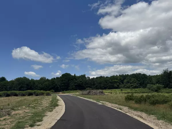 Fennville, MI 49408,6537 118th Ave #LOT D
