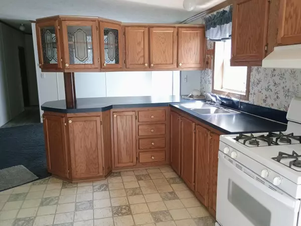 Stanwood, MI 49346,11706 187th Avenue