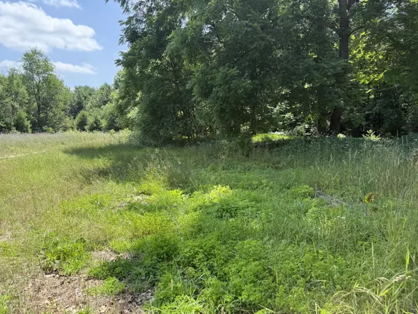 Morley, MI 49336,10710 N Sam Lane