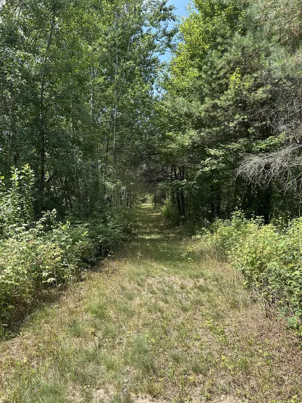 Reed City, MI 49677,v/l Old Rugged Lane