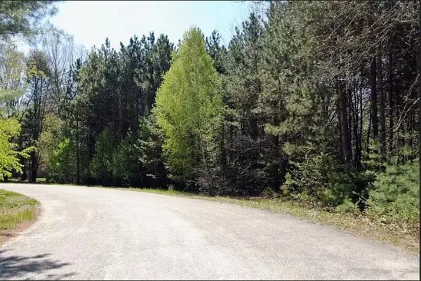 Mecosta, MI 49332,9101 Forest Pines Drive