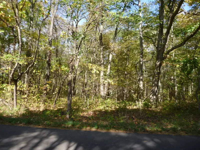 VL W AB Avenue, Otsego, MI 49078