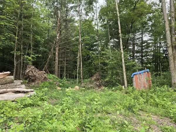 Chase, MI 49623,5369 E 68th Street