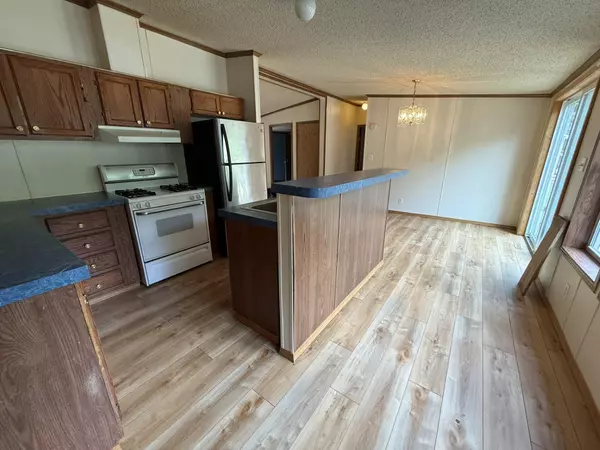 Evart, MI 49631,21641 Lake Drive