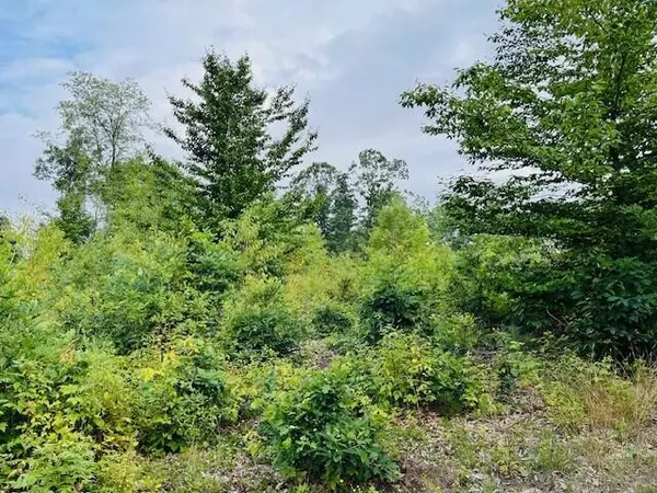 Shelby, MI 49455,VL S 152nd Avenue #- North Parcel