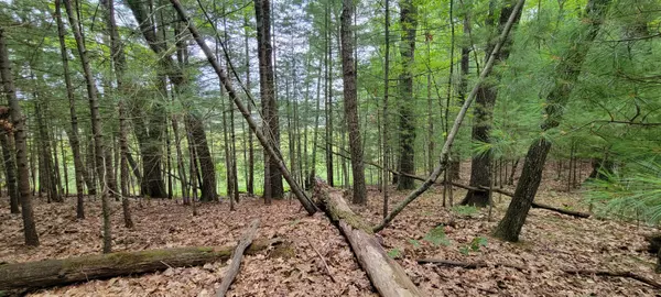 Baldwin, MI 49304,VL Trail of the Lakes