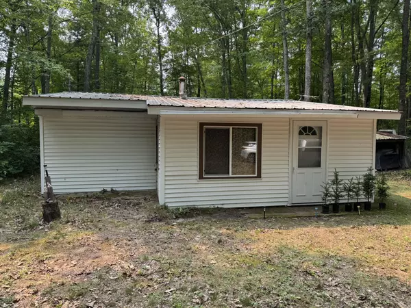 Wellston, MI 49689,16253 Caberfae Highway