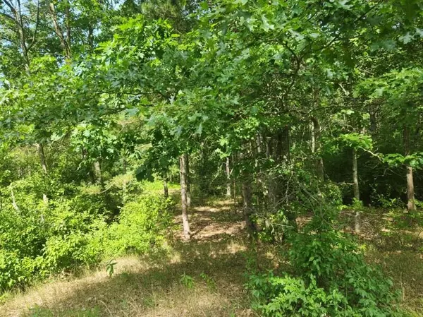 Branch, MI 49402,7373 S Riverbend Road #Lot# 53