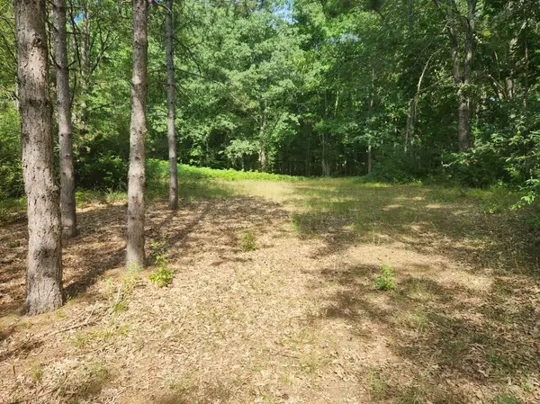 Branch, MI 49402,V/L S Riverbend Road #Lot 54