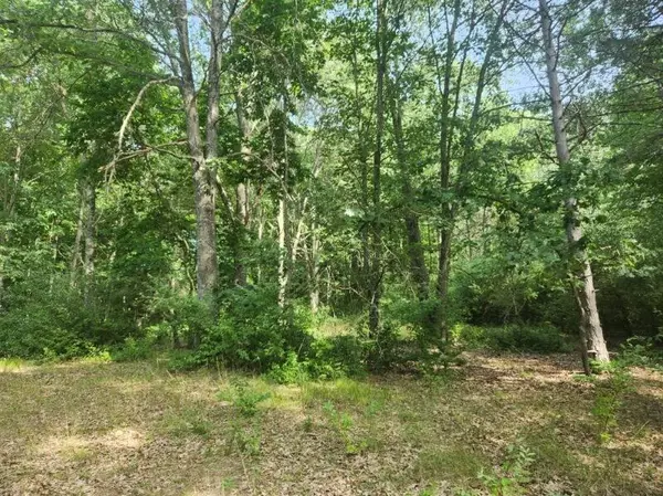7354 S Riverbend Road #LOT 52, Branch, MI 49402