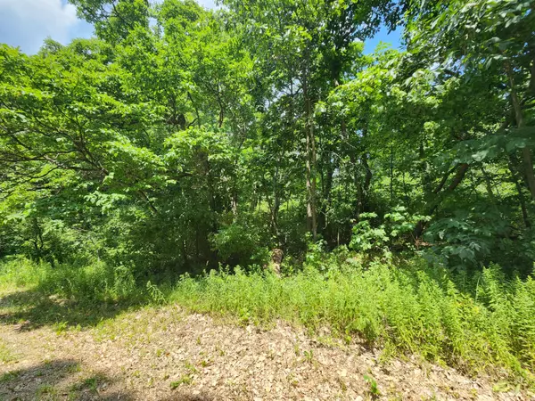 Lowell, MI 49331,13227 Beckwith NE Drive