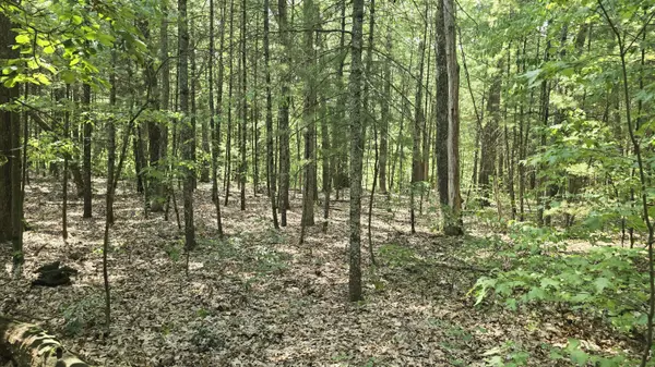 Allegan, MI 49010,Lot 9 Wildwood Drive