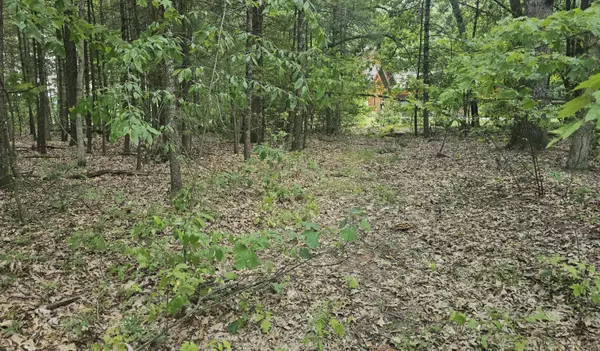 Allegan, MI 49010,Lot 9 Wildwood Drive