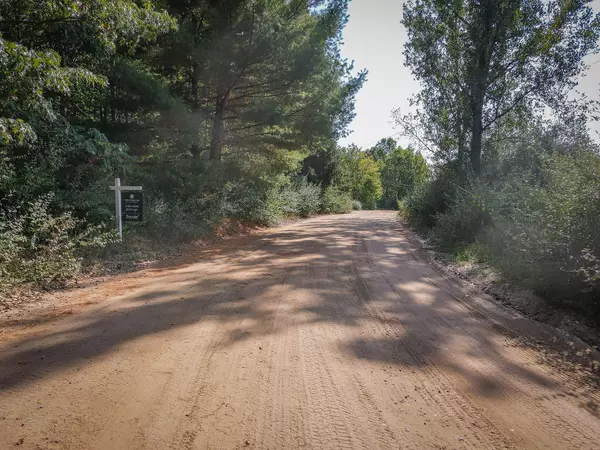 Hesperia, MI 49421,V/L 2.46A E White River Drive