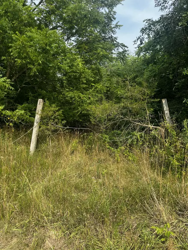 Belding, MI 48809,0 N Whites Bridge Road