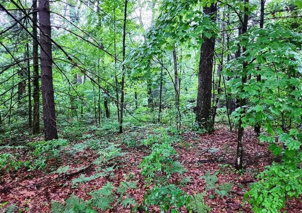 Howard City, MI 49329,Parcel #2 Maple Hill Road