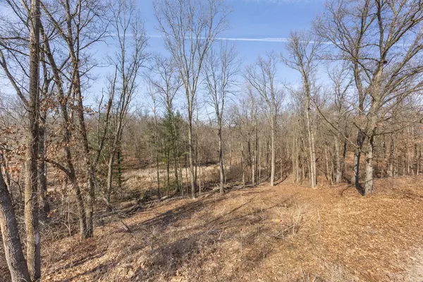 Ada, MI 49301,8965 Vergennes SE Street