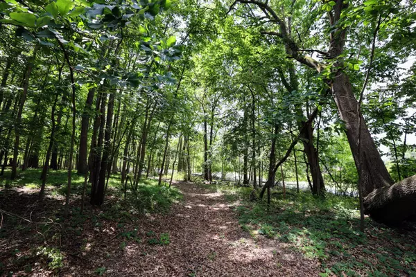 Albion, MI 49224,25270 B S Drive