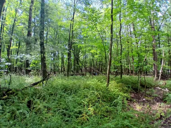 Mears, MI 49436,4756 N Ridge Road