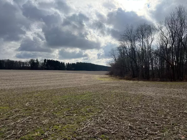 Springport, MI 49284,0 Green Street