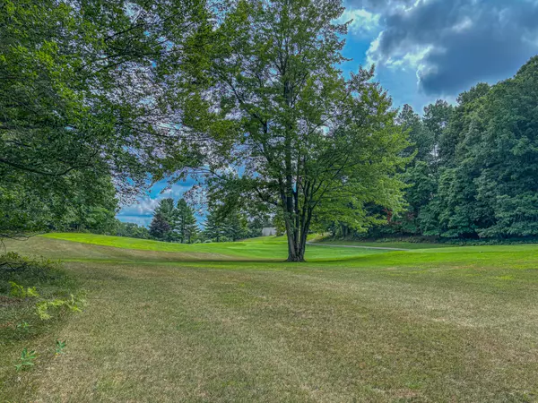 Canadian Lakes, MI 49346,9384 E Circle Drive