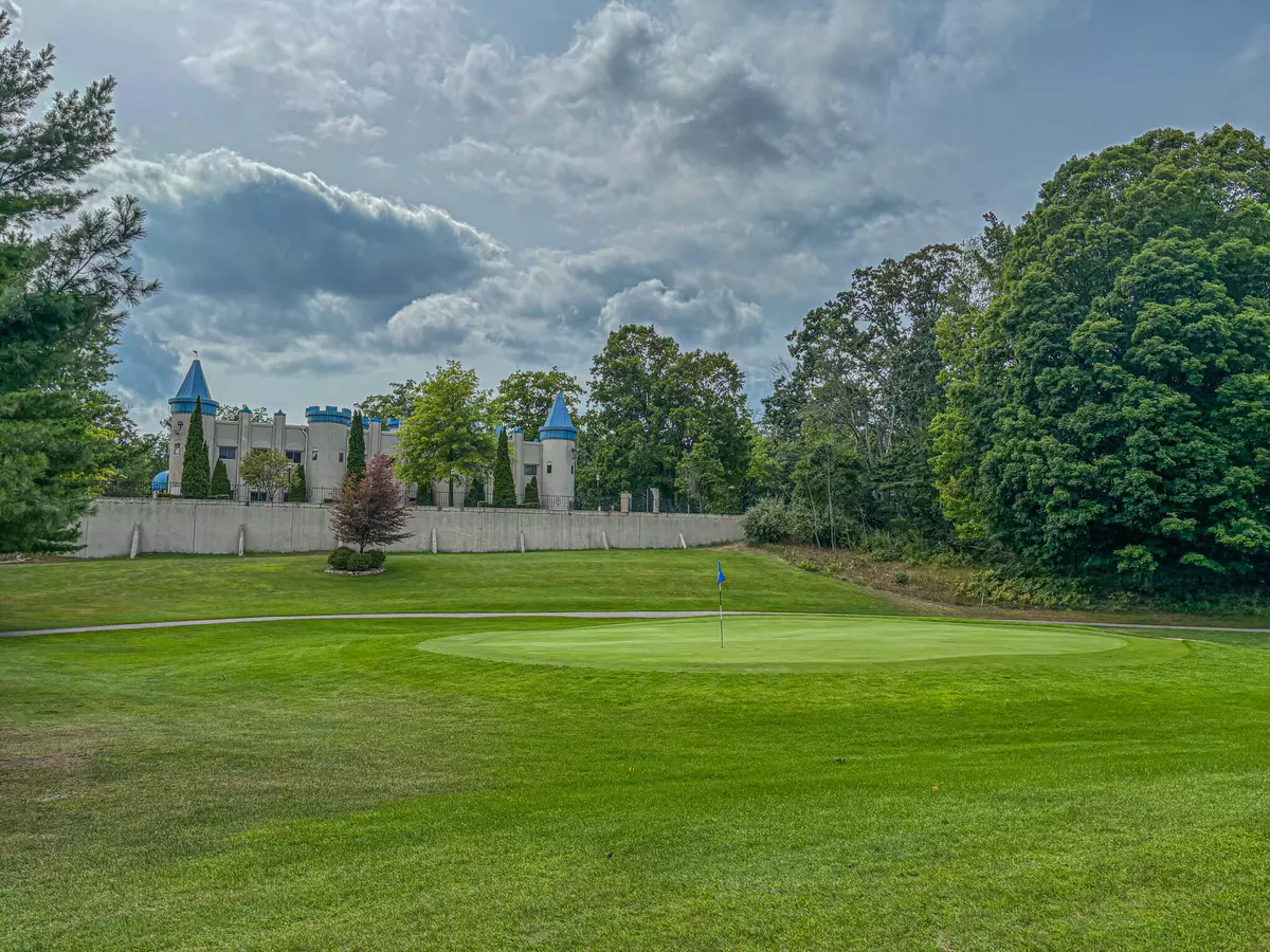 Canadian Lakes, MI 49346,9384 E Circle Drive