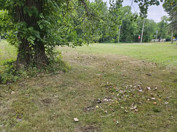 Allegan, MI 49010,104 Ida Street