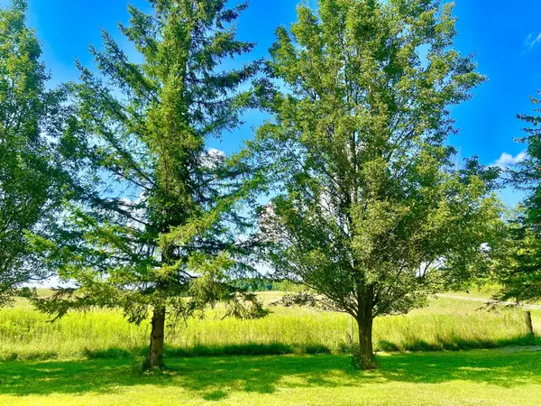 Reading, MI 49274,Dimmers Road