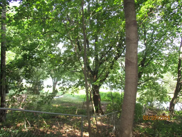 Three Rivers, MI 49093,Pine Trail