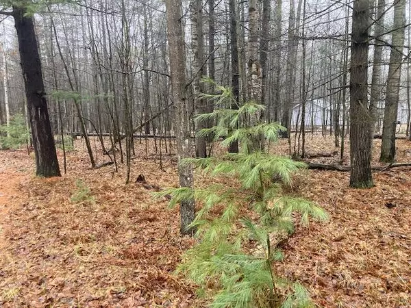 Canadian Lakes, MI 49346,6824 Maple Court