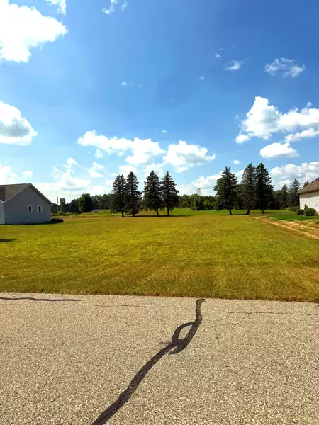 7533 Ryans Run Road, Canadian Lakes, MI 49346