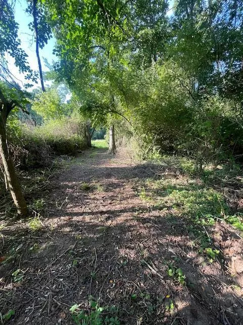 Delton, MI 49046,Lot Mullen Road