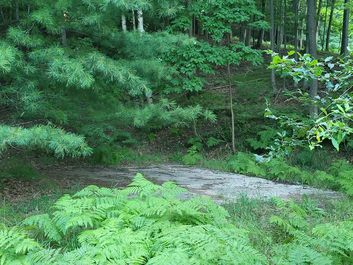 Manistee, MI 49660,00 Hill Road
