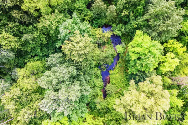 Rockford, MI 49341,8311 Rum Creek NE Trail