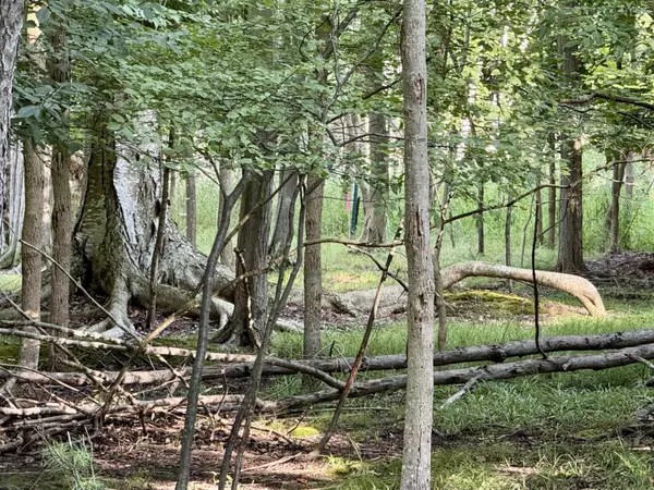 Onekama, MI 49675,001 S Portage Point Drive