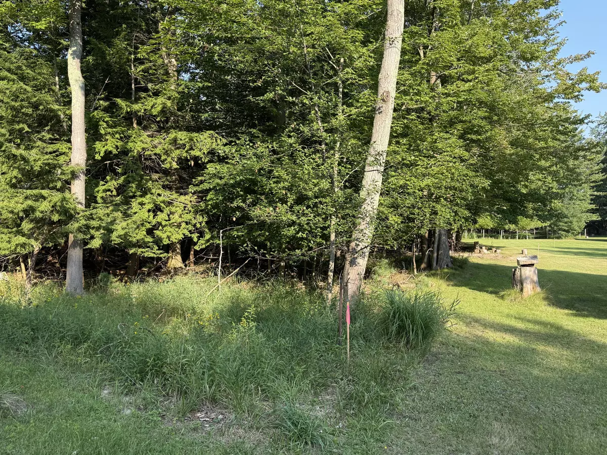 Onekama, MI 49675,001 S Portage Point Drive