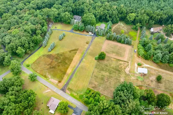 Belding, MI 48809,1160 N State Road