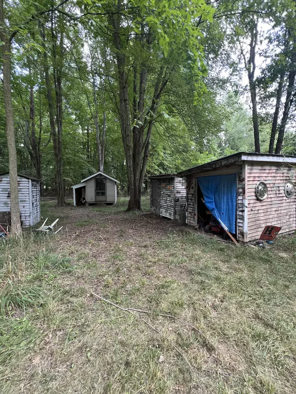 Homer, MI 49245,J S Drive