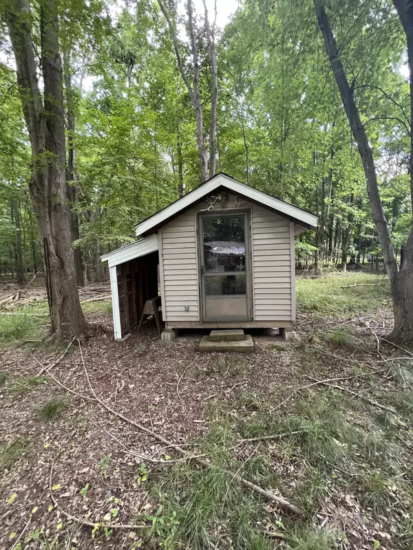 Homer, MI 49245,J S Drive