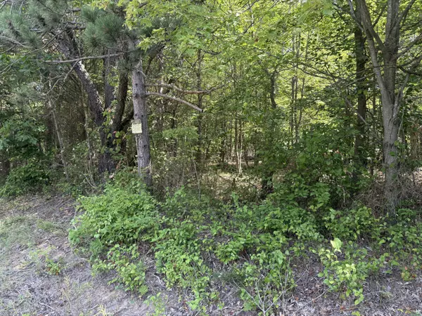 West Olive, MI 49460,15955 Revello Court