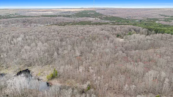 Cadillac, MI 49601,00 V/L 9.7 Vail Drive