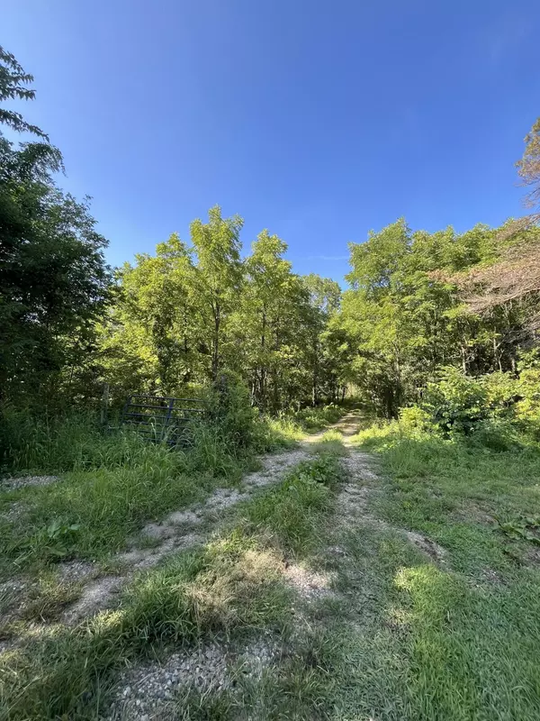 Galesburg, MI 49053,128 Washington Street