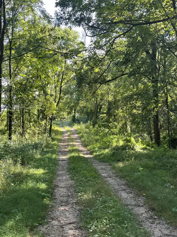 Galesburg, MI 49053,128 Washington Street