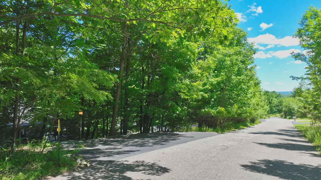 12094 Highland View Drive, Rapid City, MI 49676