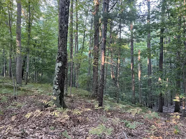 Irons, MI 49644,N Caribou Trail