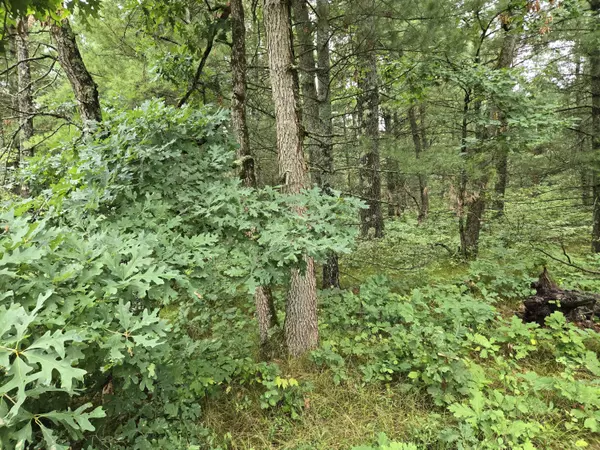 Idlewild, MI 49642,V/L Par B E 44th