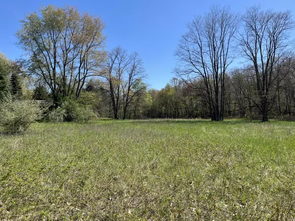 540 Bailey Meadows NE Drive, Ada, MI 49301